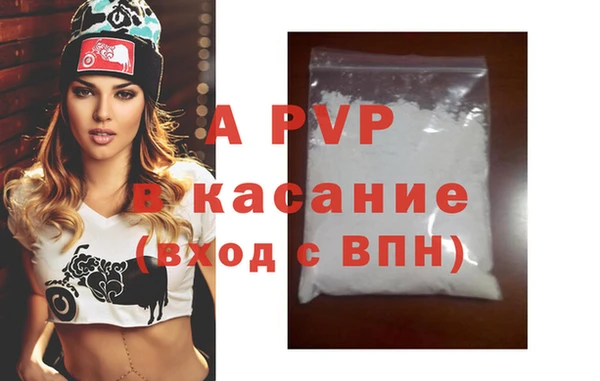прущие грибы Пересвет