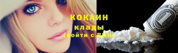 гидра Аркадак