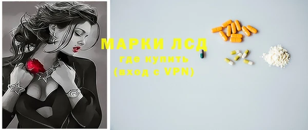 гидра Аркадак