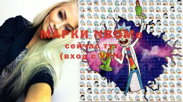 стаф Арсеньев