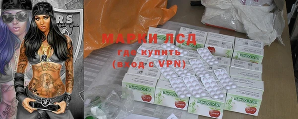 стаф Арсеньев