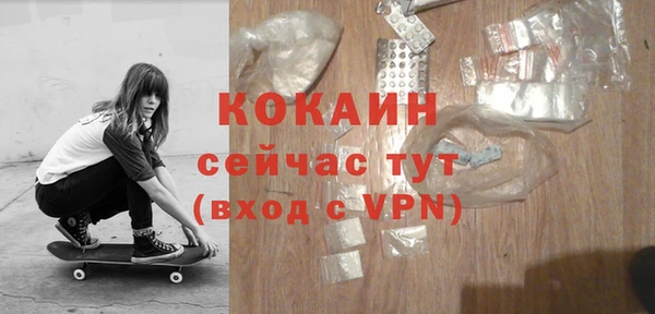 стаф Арсеньев